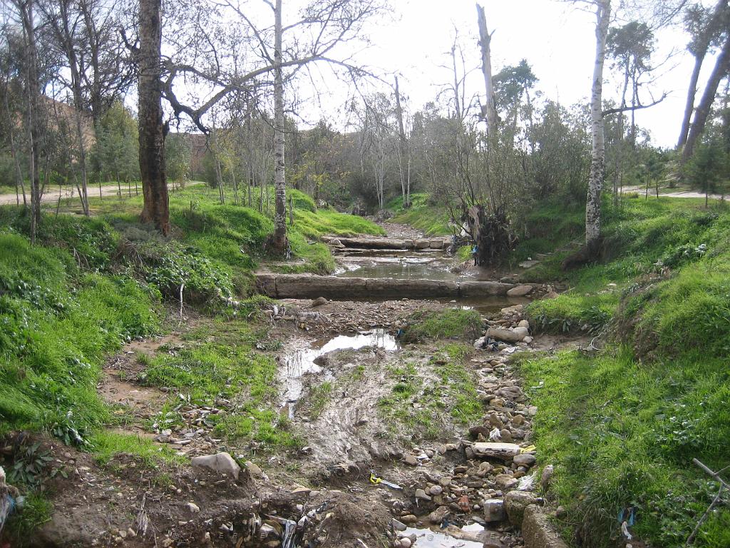 LE TELAGH Le Bosquet  03.jpg